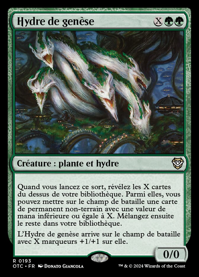 image Hydre de genèse