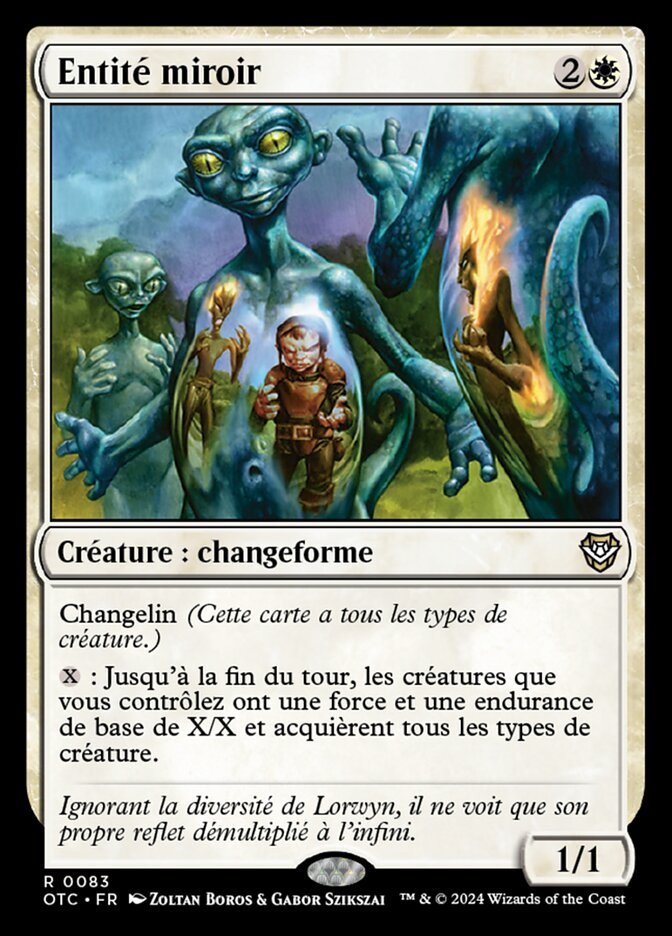 image Entité miroir