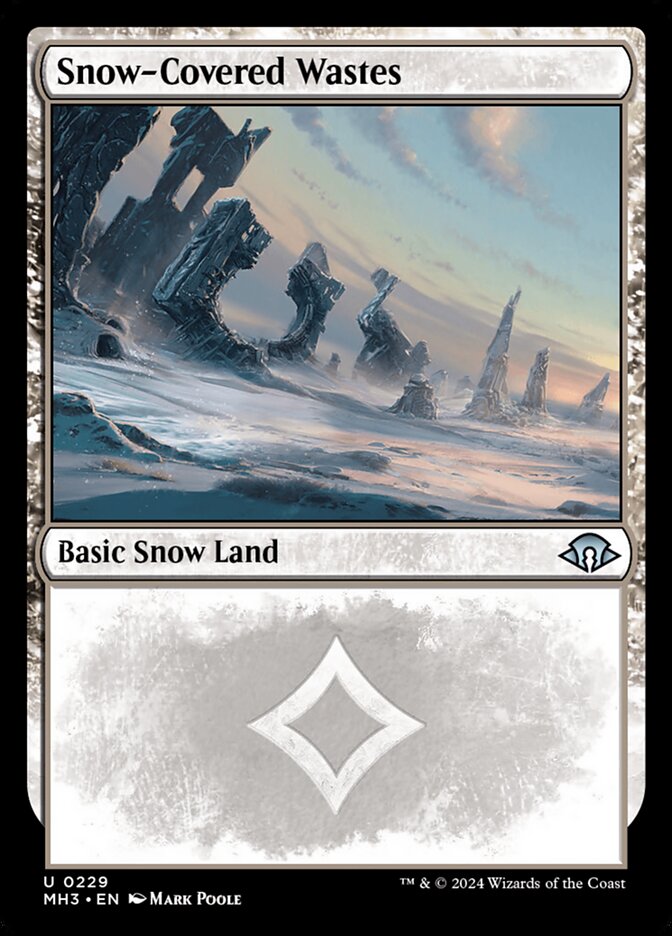 image Snow-Covered Wastes