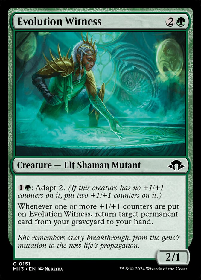 image Evolution Witness