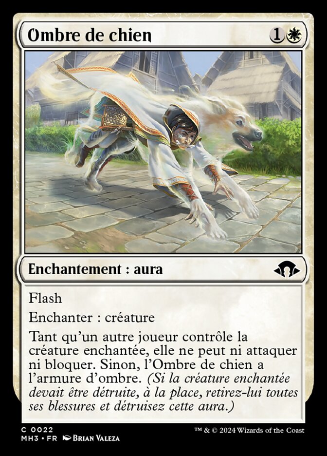 image Ombre de chien