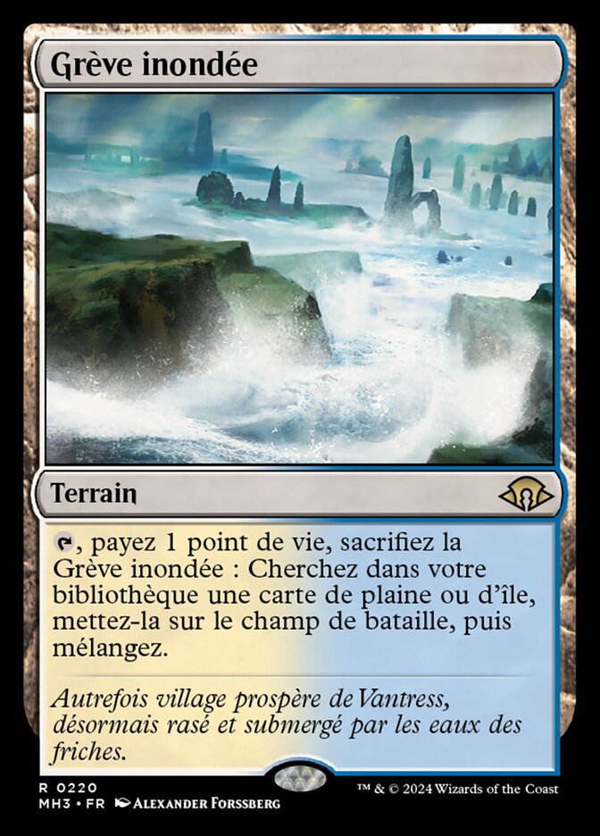 image Grève inondée