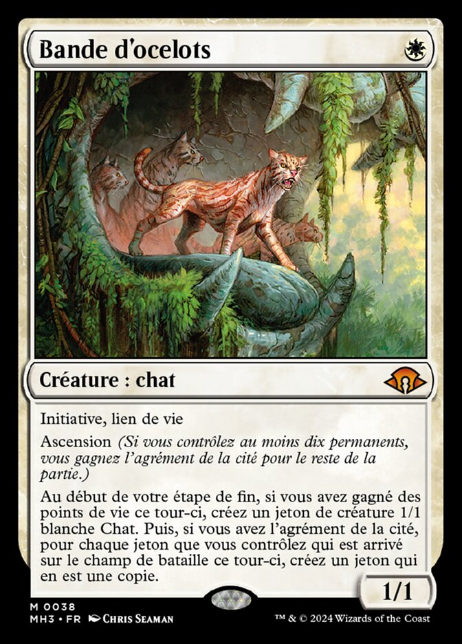 image Bande d'ocelots