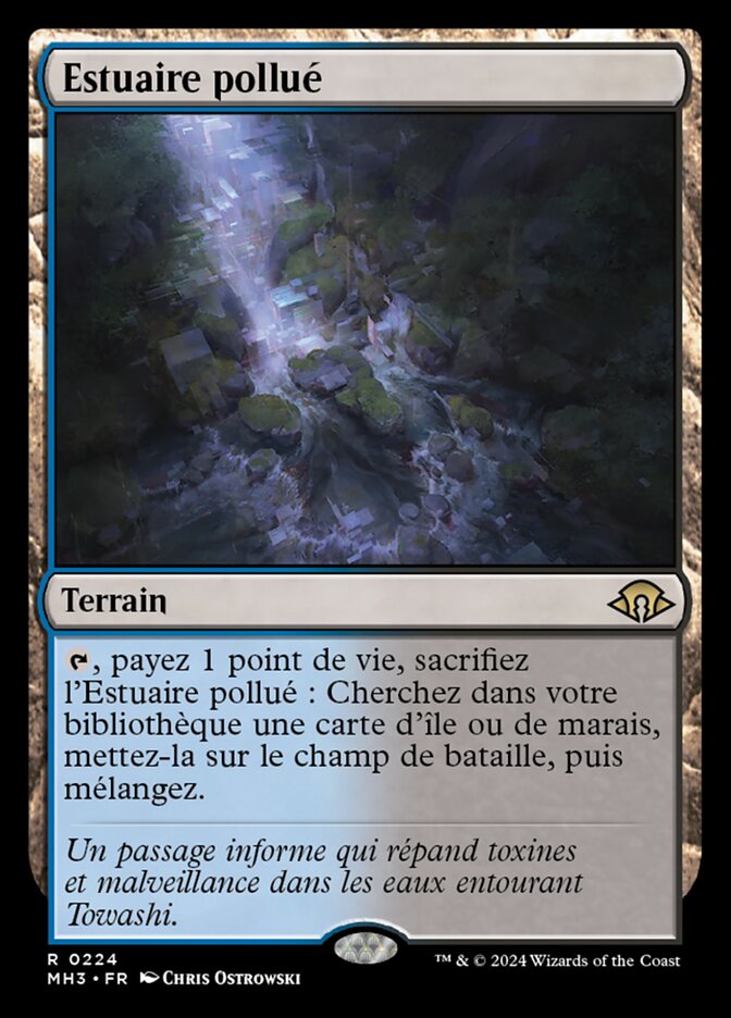 image Estuaire pollué