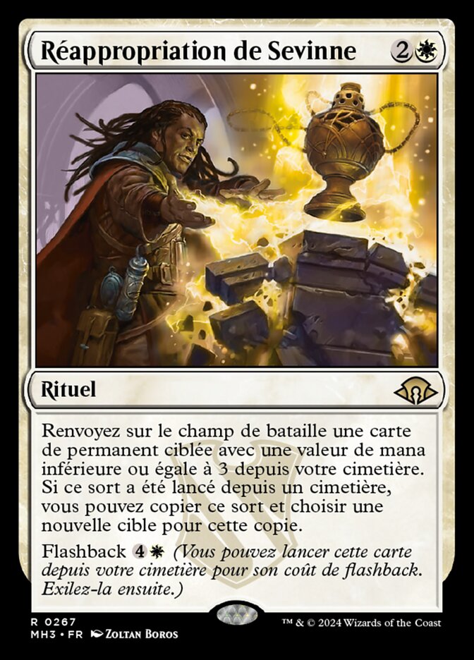 image Réappropriation de Sevinne