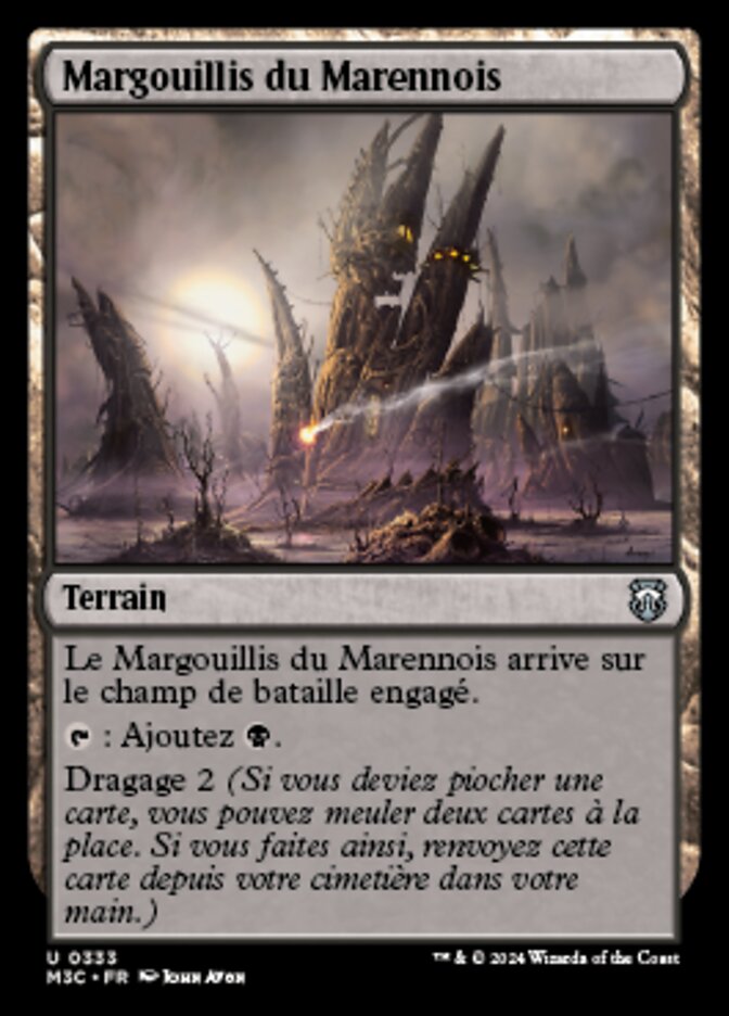 image Margouillis du Marennois