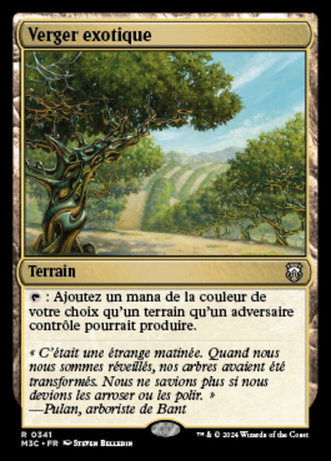 image Verger exotique