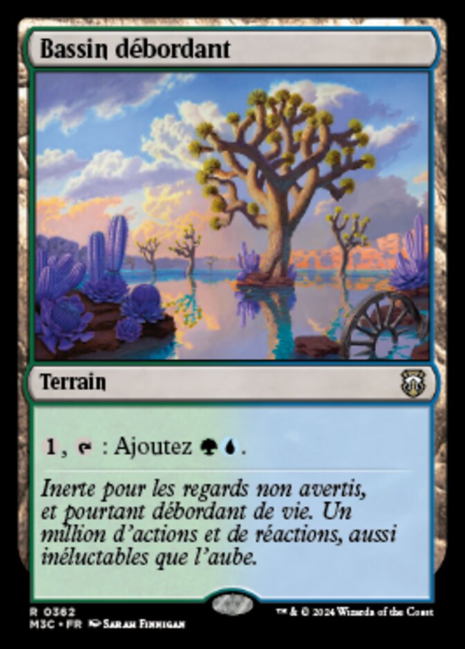 image Bassin débordant