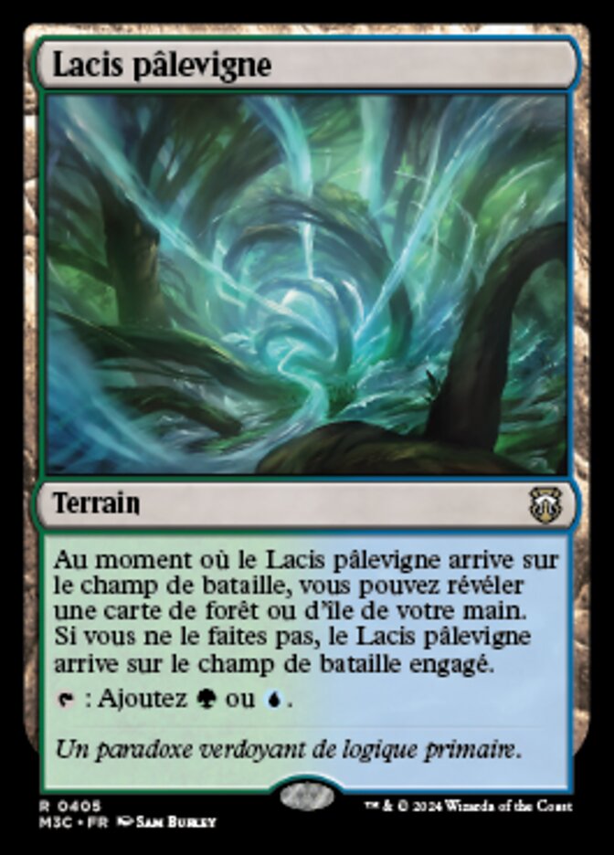 image Lacis pâlevigne