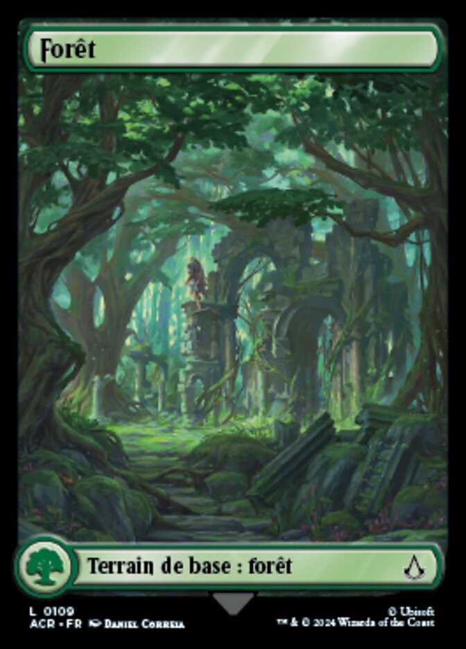 image Forêt