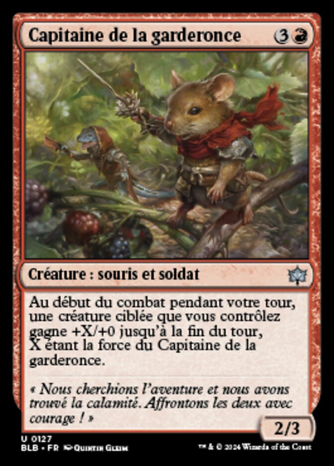 image Capitaine de la garderonce