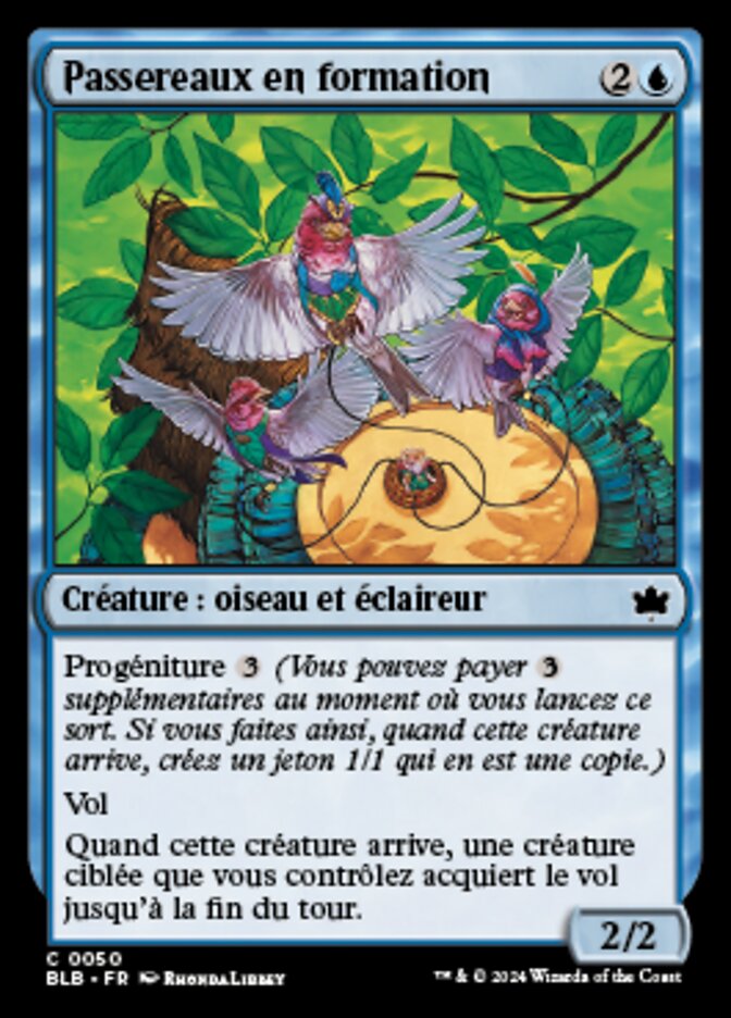 image Passereaux en formation