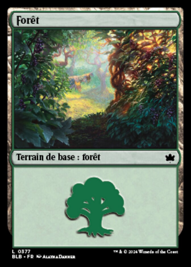 image Forêt