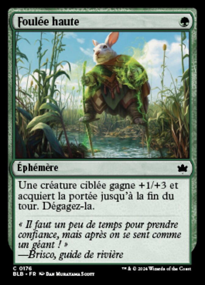 image Foulée haute