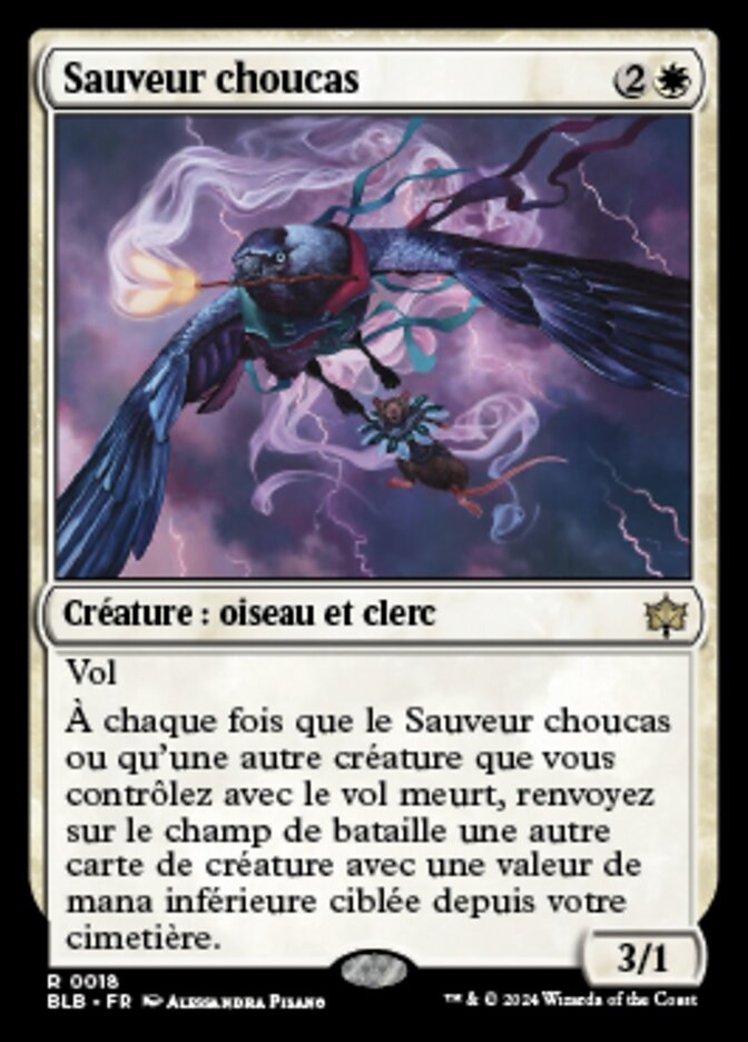 image Sauveur choucas