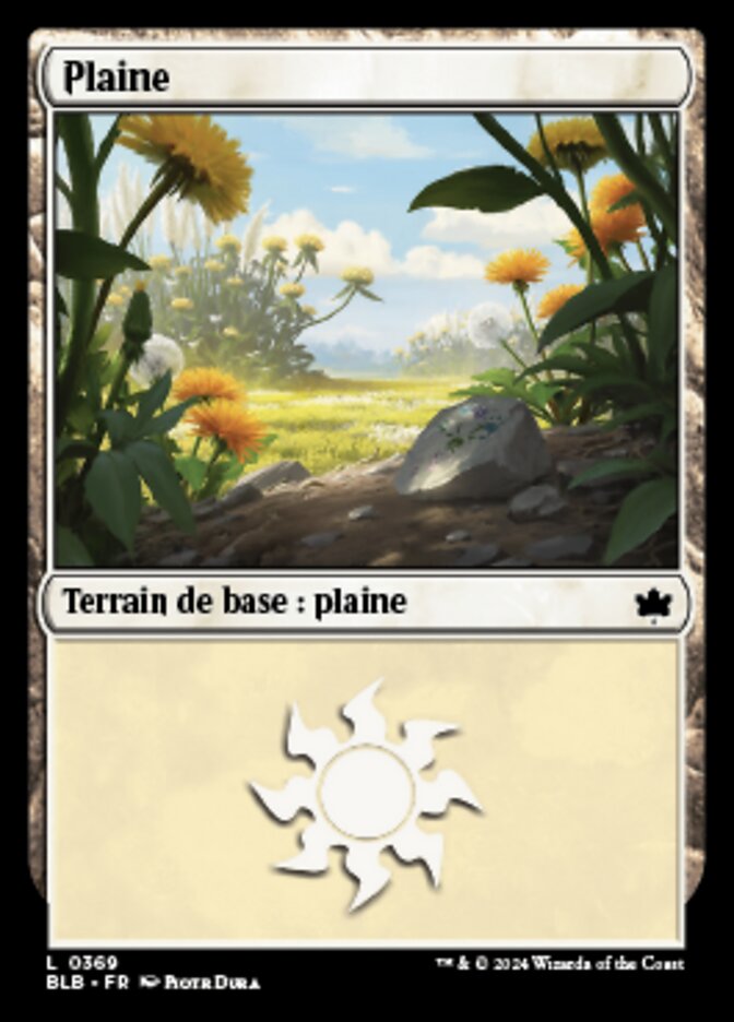 image Plaine