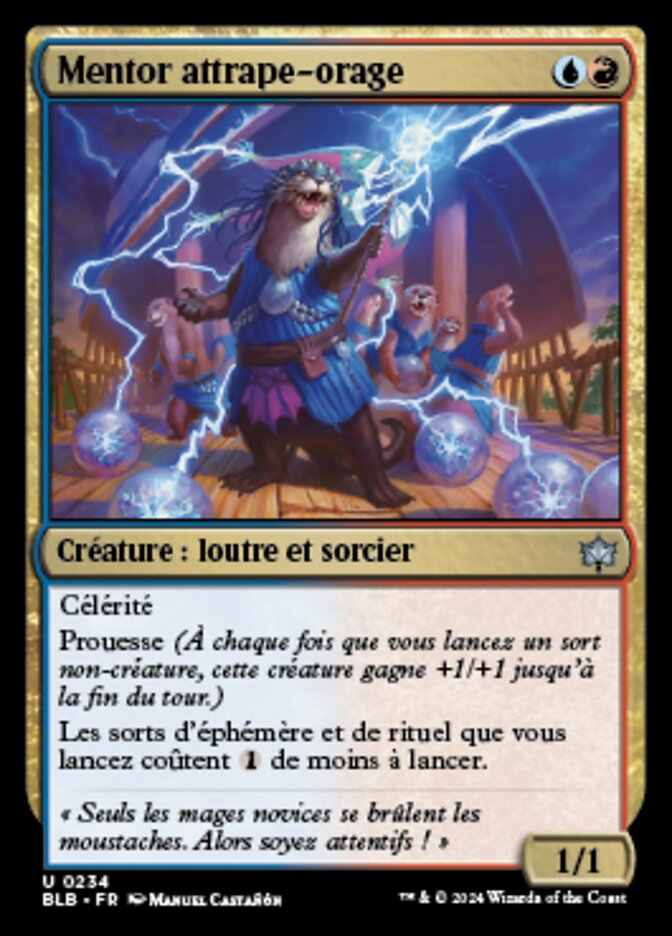 image Mentor attrape-orage