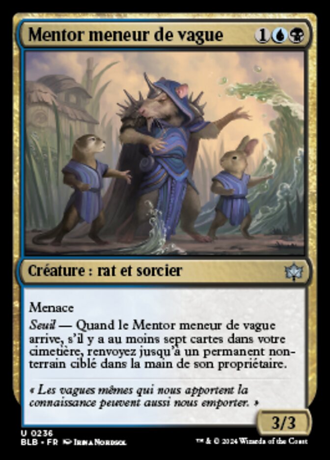 image Mentor meneur de vague