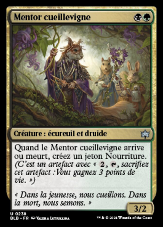 image Mentor cueillevigne