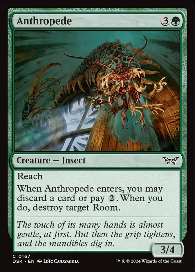 image Anthropede