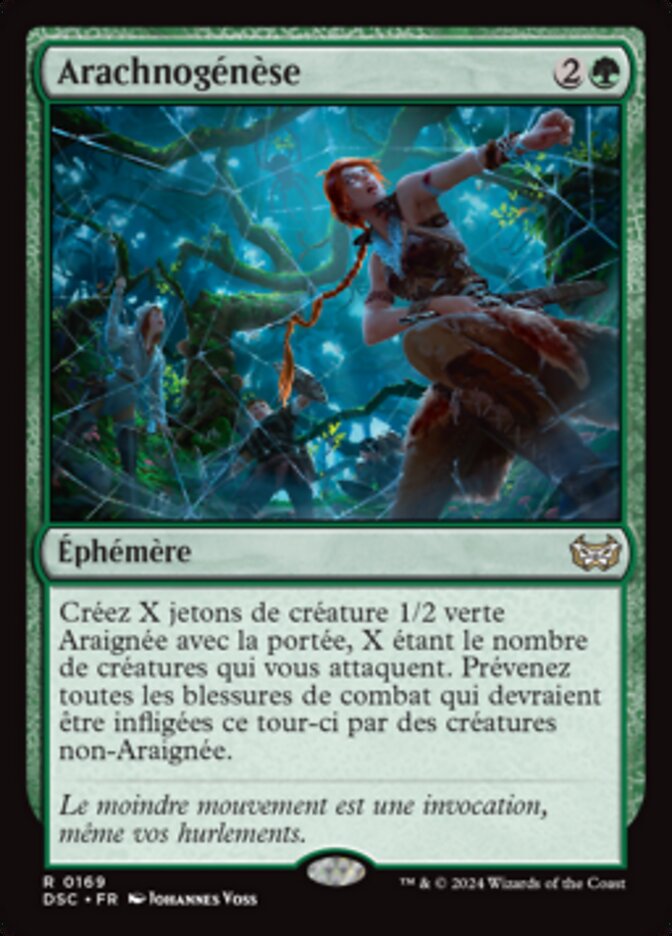 image Arachnogénèse