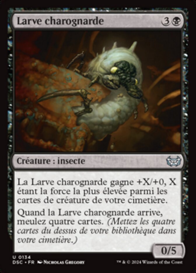 image Larve charognarde