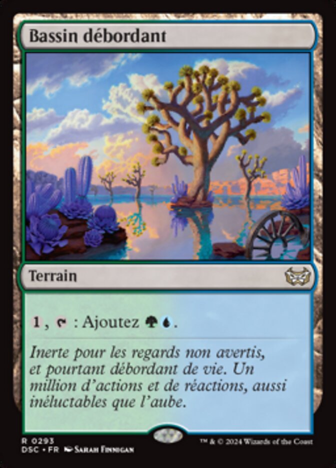 image Bassin débordant