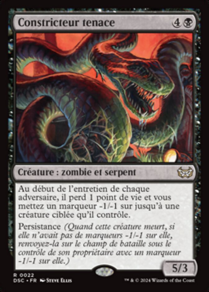 image Constricteur tenace
