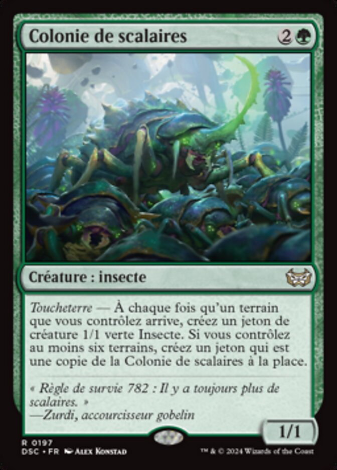 image Colonie de scalaires