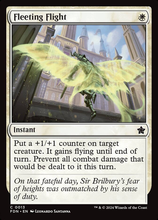 image Fleeting Flight