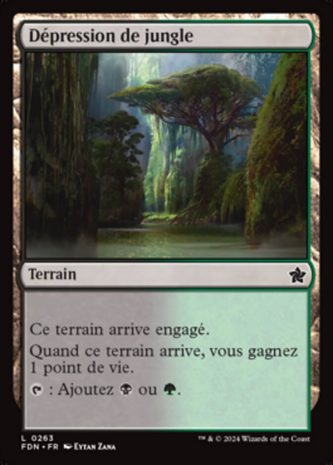 image Dépression de jungle