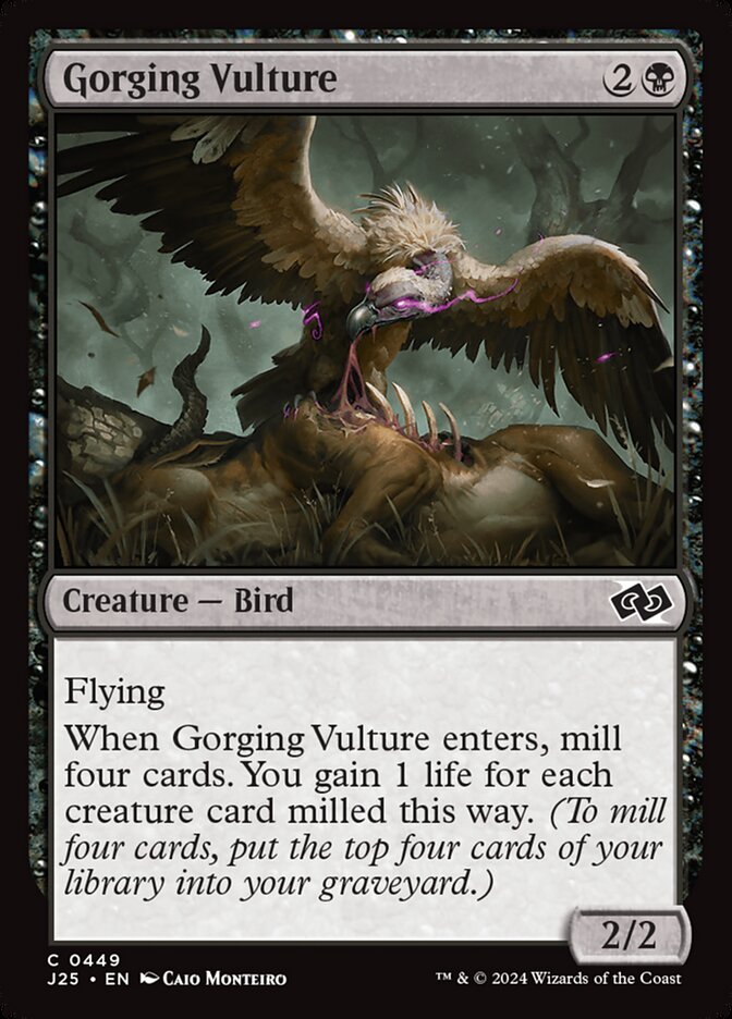 image Gorging Vulture