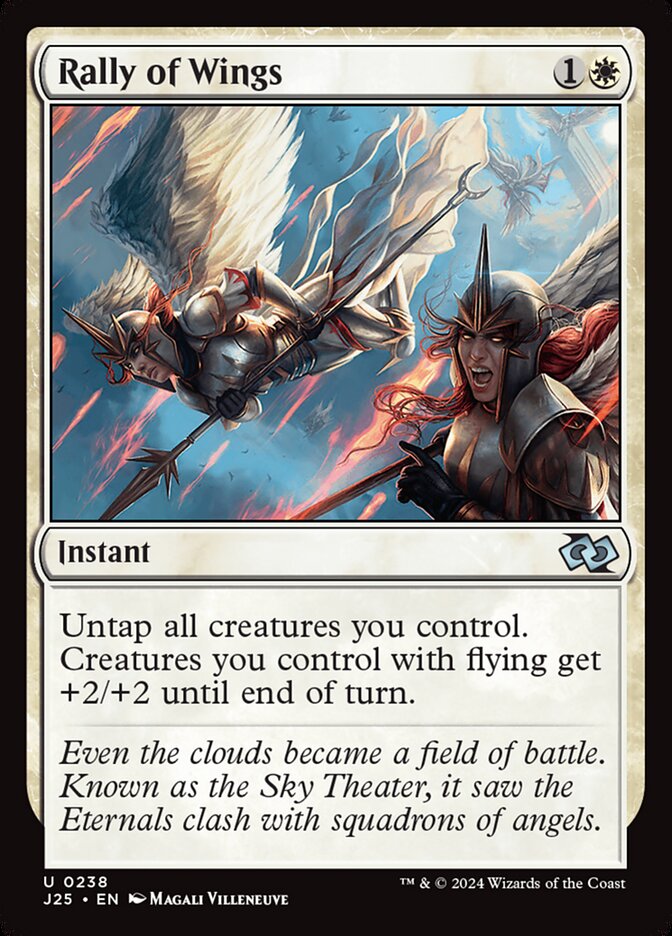 image Rally of Wings