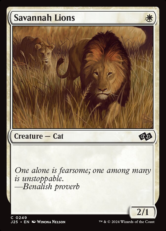 image Savannah Lions