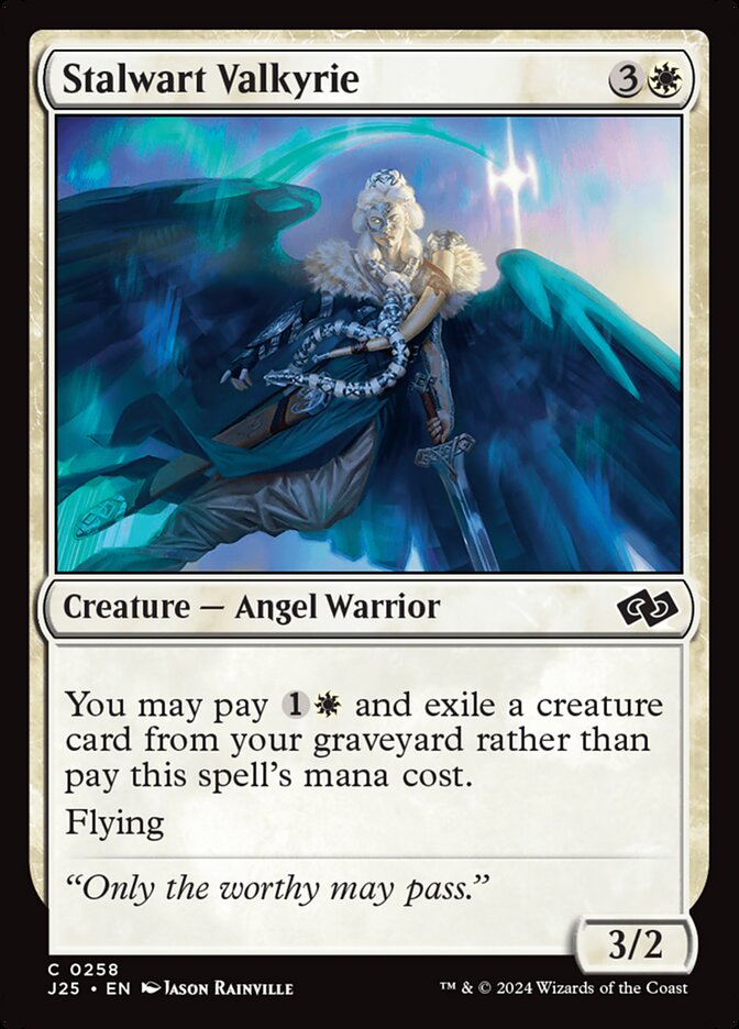 image Stalwart Valkyrie