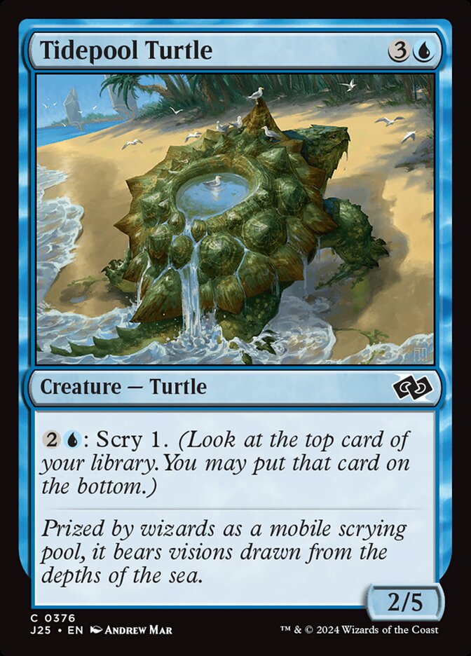 image Tidepool Turtle