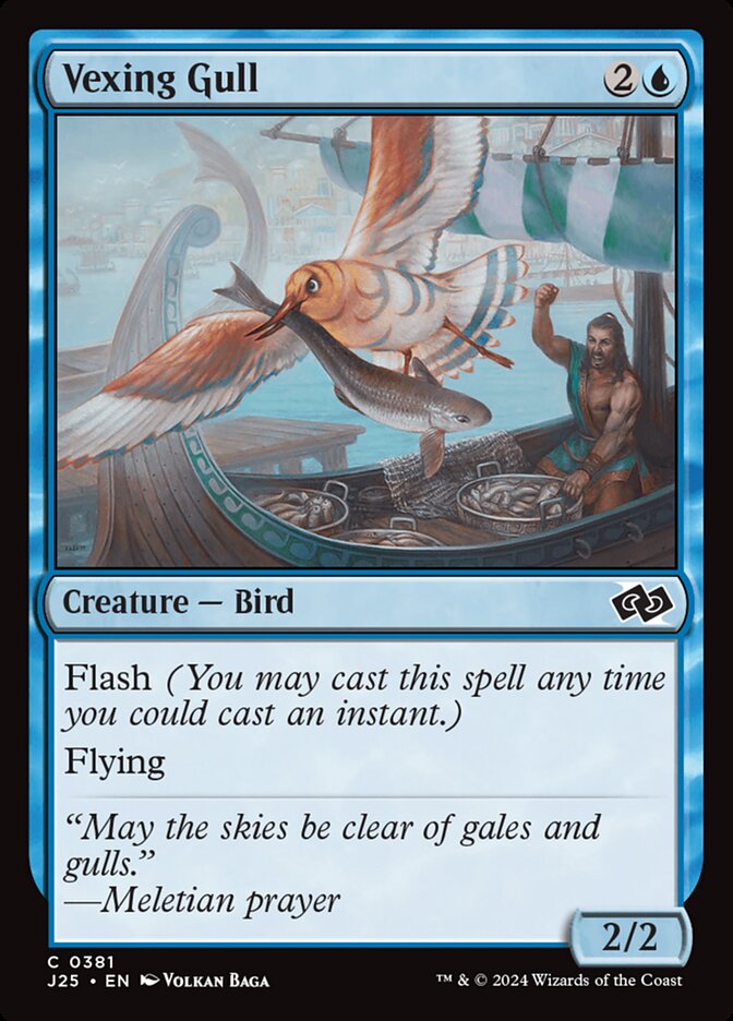 image Vexing Gull