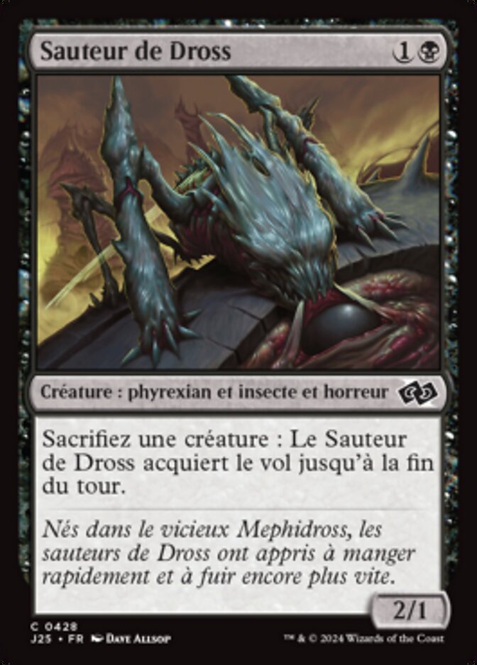 image Sauteur de Dross