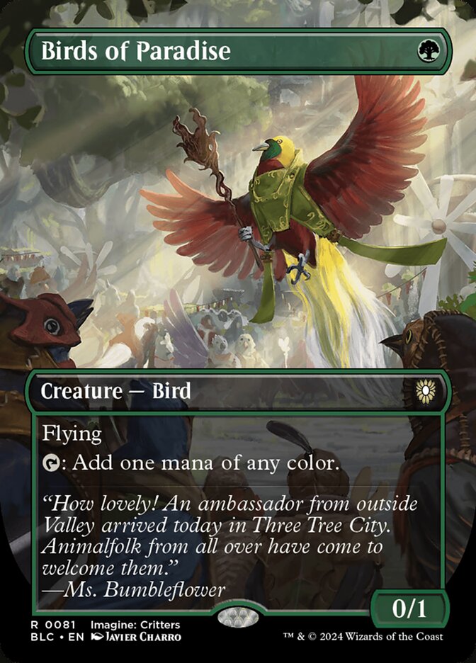 image Birds of Paradise