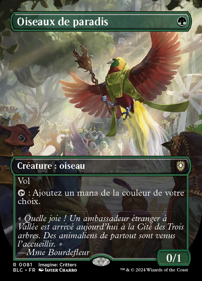 image Oiseaux de paradis