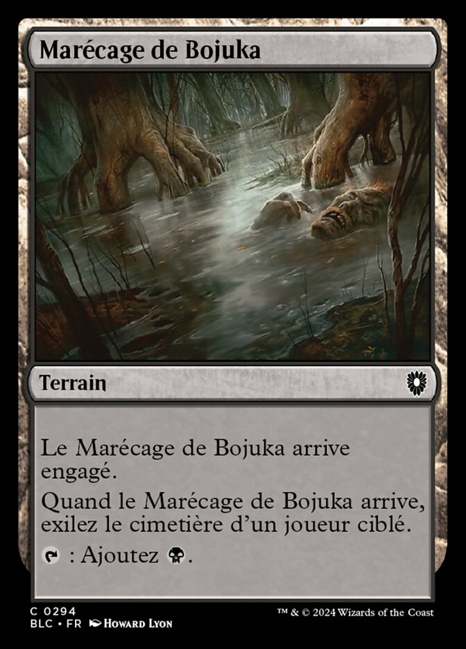 image Marécage de Bojuka