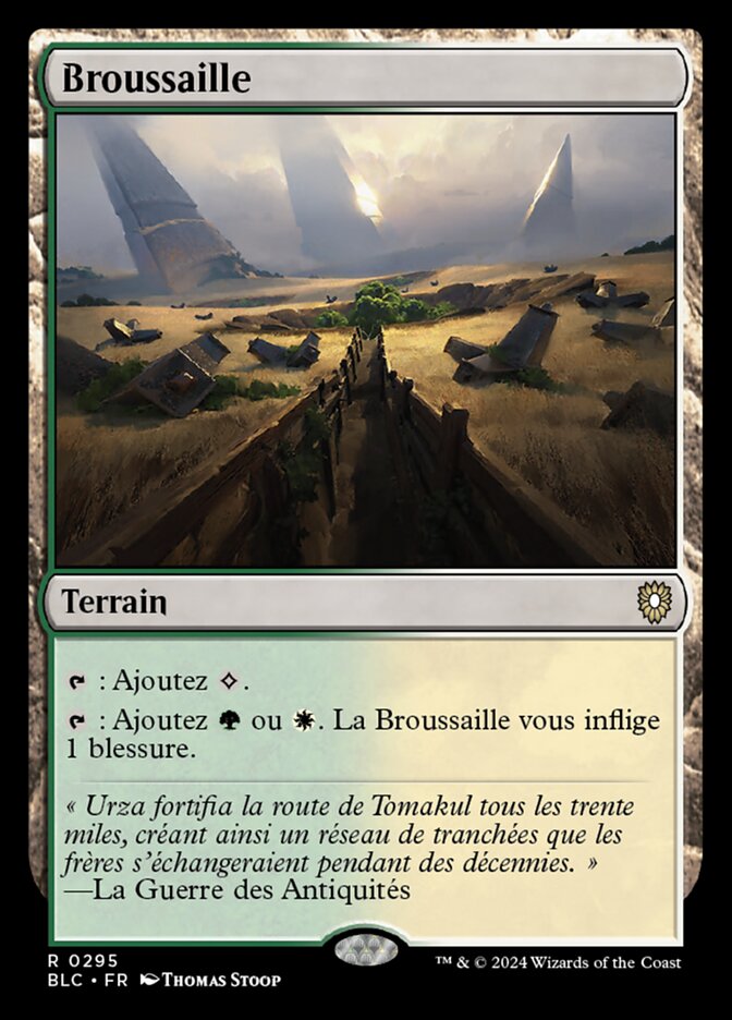 image Broussaille