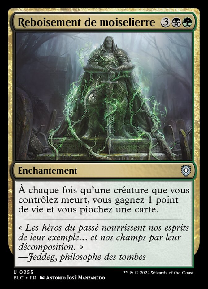 image Reboisement de moiselierre