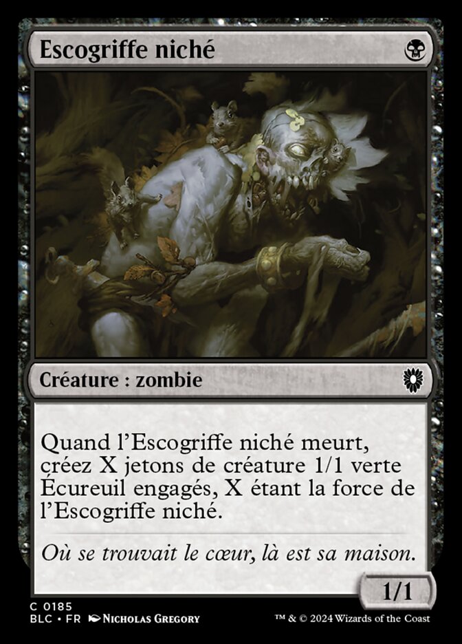 image Escogriffe niché