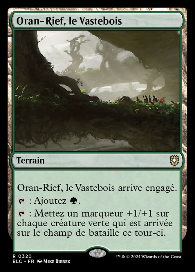 image Oran-Rief, le Vastebois