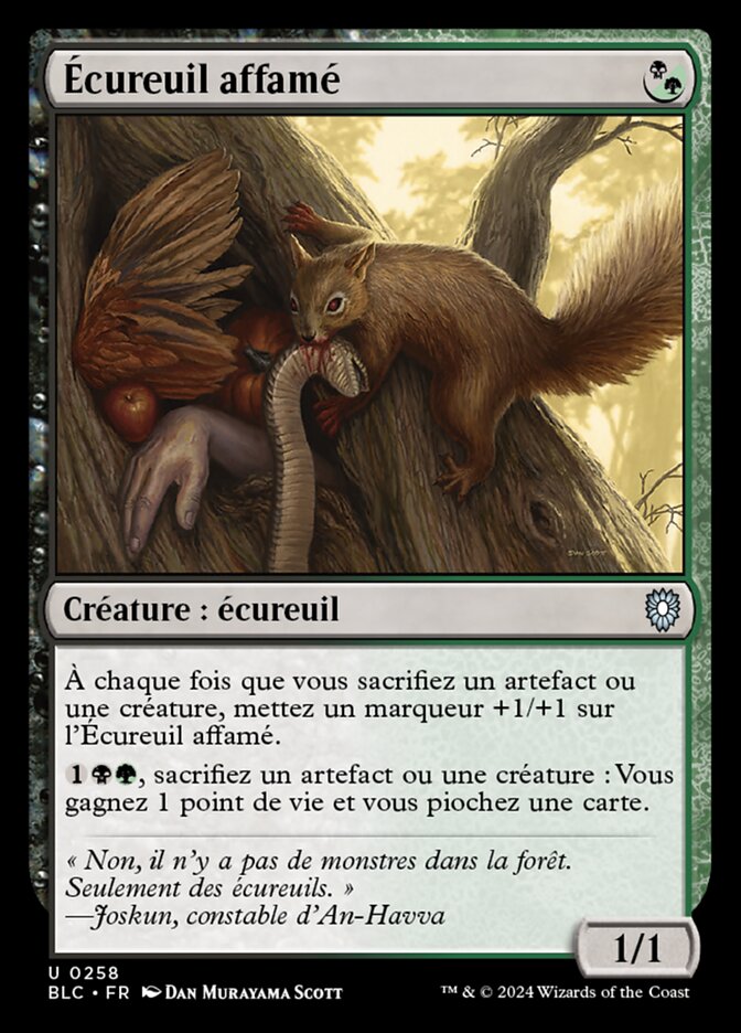 image Écureuil affamé