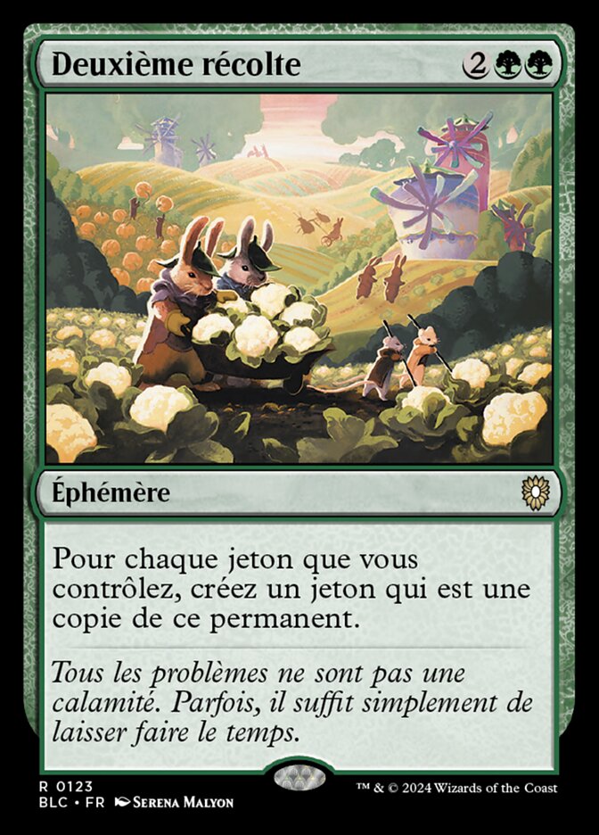 image Deuxième récolte