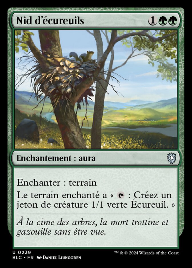 image Nid d'écureuils