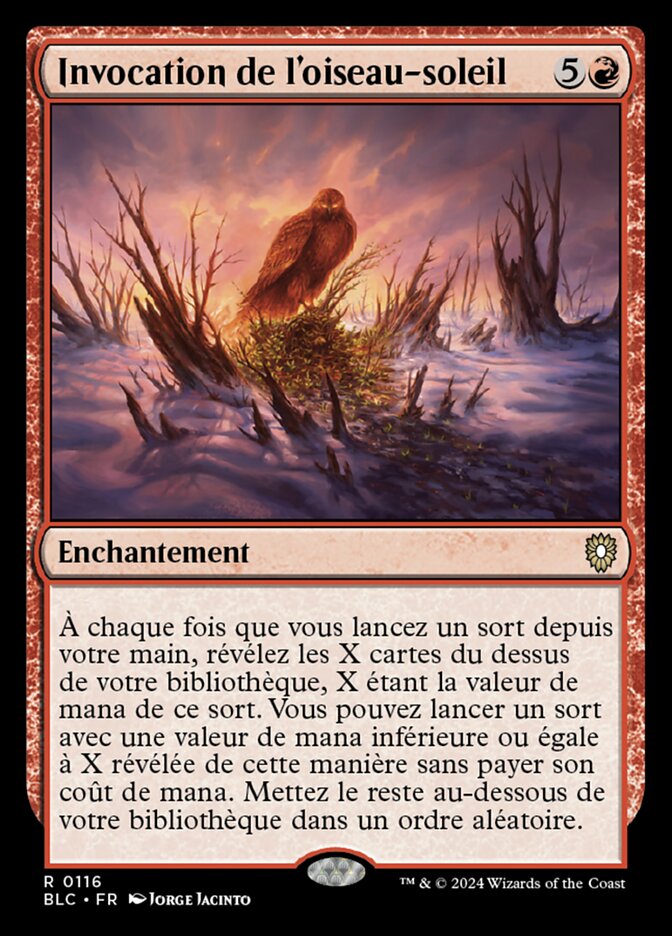image Invocation de l'oiseau-soleil