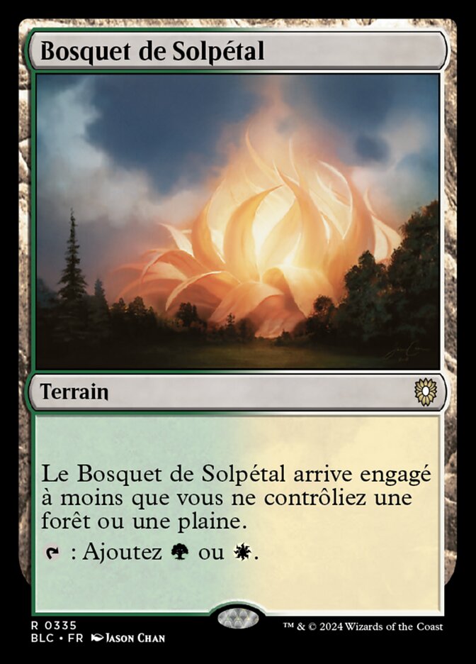 image Bosquet de Solpétal